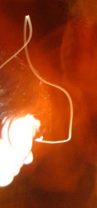 20051113213941-rayos.jpg