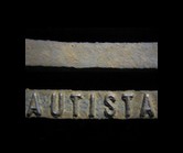 20070304012904-autista.jpg
