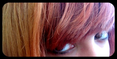 20071009162719-mipelolamentable.jpg