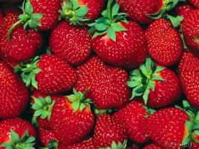 fresas.jpg