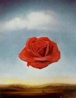 rosa.jpg